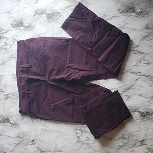 Ann Taylor Skinny Jeans